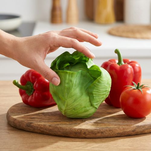 Iceberg salotos dirbtinės Real-Touch Ø12cm | Floristik24.lt