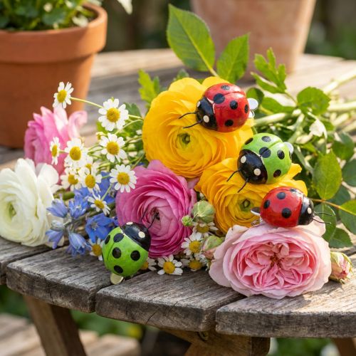 Boružėlė su segtuku 4,5cm raudona, žalia 6vnt | Floristik24.lt