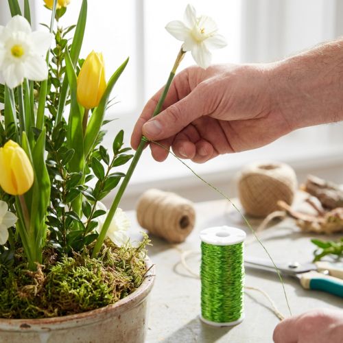 Sultinio efekto viela dekoravimui Ø0.30mm 100g 140m obuolių žalios spalvos floristinė viela rankdarbiams | Floristik24.lt