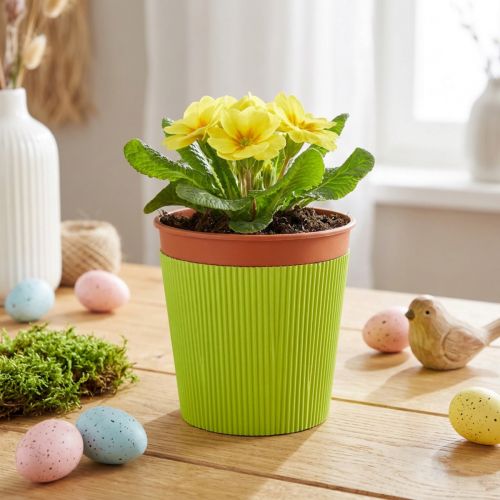 Plisuoti rankogaliai gėlių vazonams šviesiai žalia 14,5cm 100 vnt | Floristik24.lt