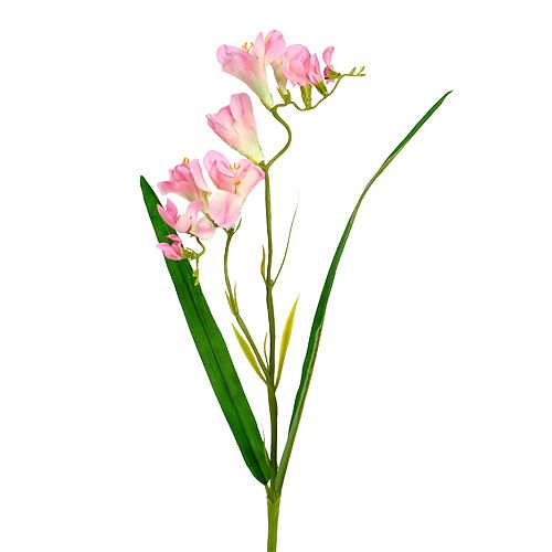Floristik24 Frezija 56cm rožinė 4vnt