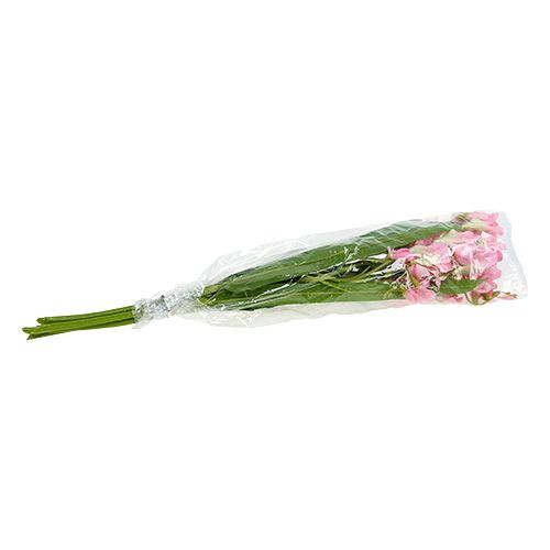 Floristik24 Frezija 56cm rožinė 4vnt