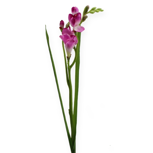 Floristik24 Dirbtinė gėlė Fresien 56cm 3vnt.