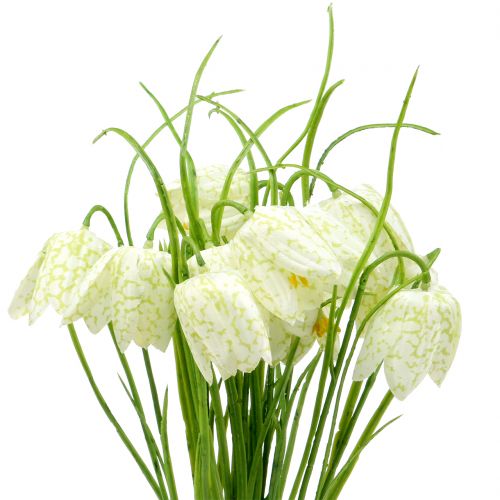 Floristik24 Šachmatų lentos gėlės Fritillaria dirbtinė balta, žalia 40cm 12vnt