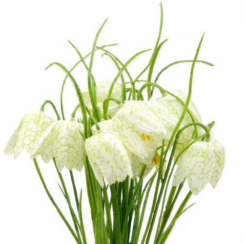 Floristik24 Šaškių lentos gėlės Fritillaria dirbtinės baltos, žalios 40cm 12 vnt