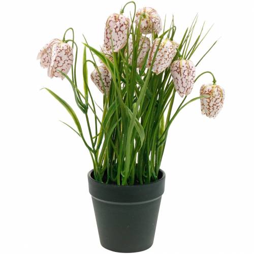 Floristik24 Dirbtinė šachmatų lentos gėlė vazonuose, pavasarinė gėlė Fritillaria, šilko gėlė raudona balta