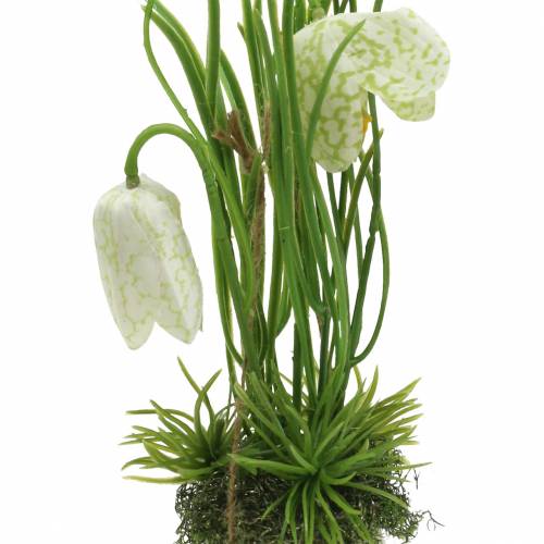 daiktų Fritilaria kiaušinio lukšte pakabinti dirbtinai žalia, balta 25cm