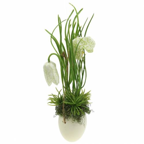 Fritilaria kiaušinio lukšte pakabinti dirbtinai žalia, balta 25cm