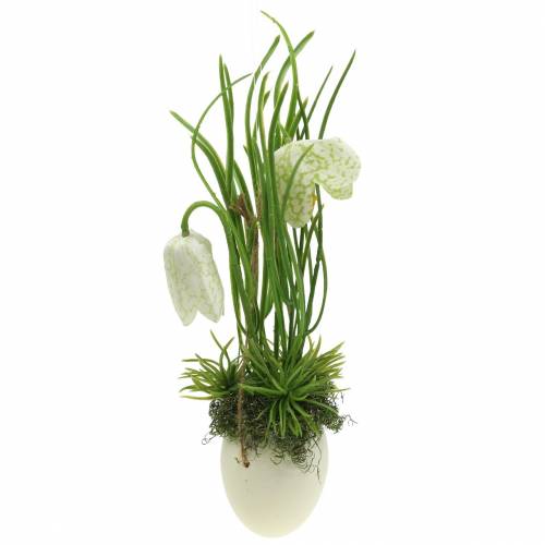 Floristik24 Fritilaria kiaušinio lukšte pakabinti dirbtinai žalia, balta 25cm