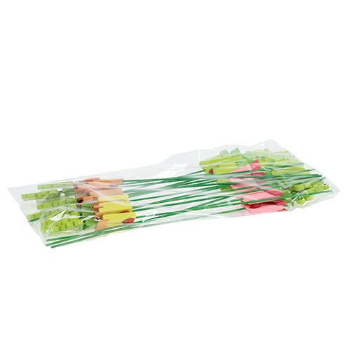 Floristik24 Varlė vazone įvairių. 9cm L28cm 16 vnt