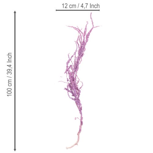 daiktų Lapės uodegos džiovintos gėlės, dažytos, moderniam namų dekoravimui, 100 cm, 5 vnt.