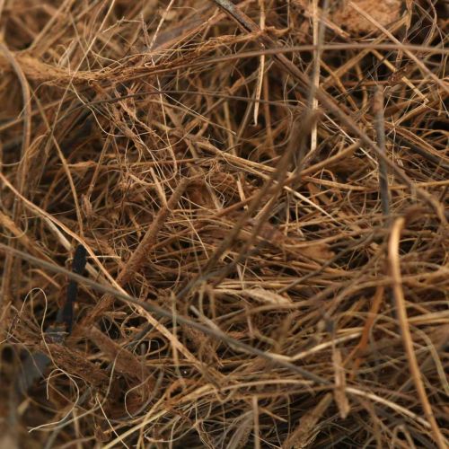 Užpildas kompozicijoms, dekoratyviniai pluoštai, vynmedžių medžiaga 1kg