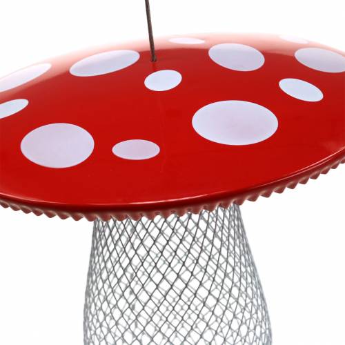 Floristik24 Maitinimo vieta rupūžė, skirta pakabinti metalinį Ø22cm H20cm