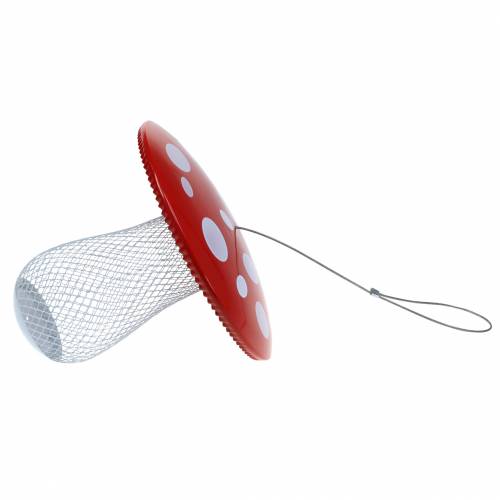 Floristik24 Maitinimo vieta rupūžė, skirta pakabinti metalinį Ø22cm H20cm