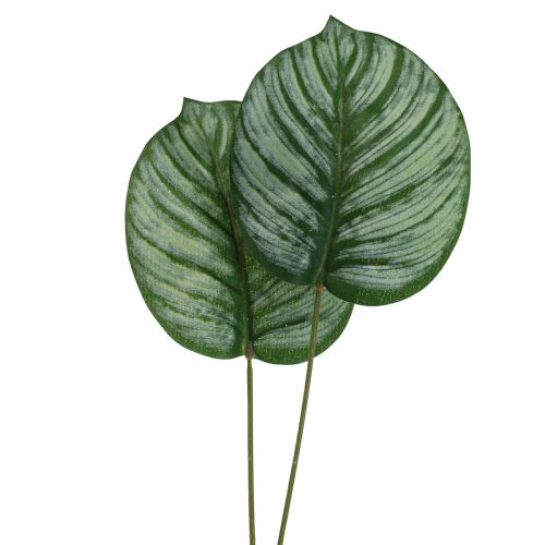 daiktų Calathea dirbtinis krepšelis Marante dirbtiniai augalai žalias 51cm