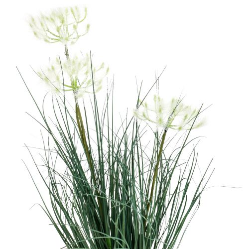 Floristik24 Bulrush Grass Dirbtinė gėlė Dirbtinės gėlės vazone 56cm