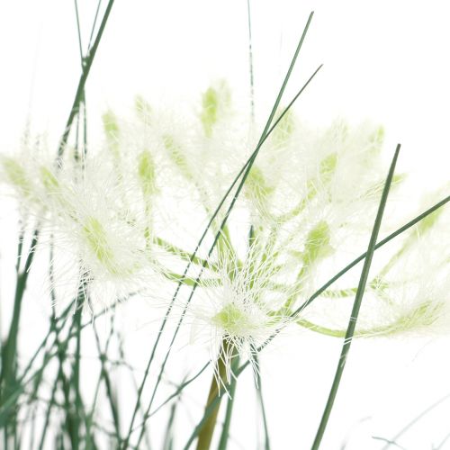 Floristik24 Bulrush Grass Dirbtinė gėlė Dirbtinės gėlės vazone 56cm