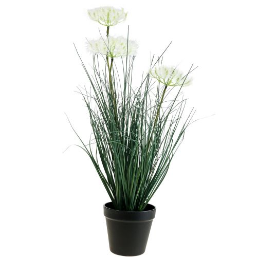 Floristik24 Bulrush Grass Dirbtinė gėlė Dirbtinės gėlės vazone 56cm