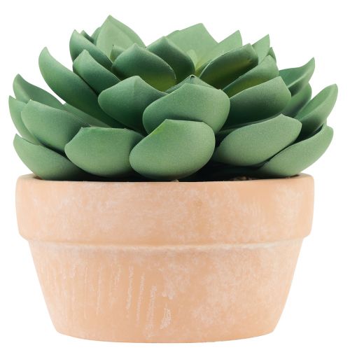 Floristik24 Sultingas augalas vazone Echeveria dirbtinė žalia Ø15cm