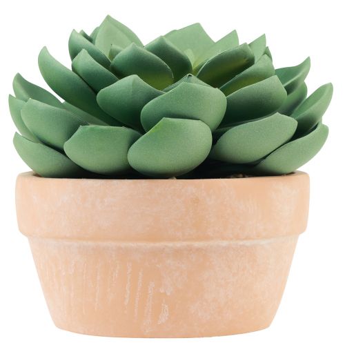 daiktų Sultingas augalas vazone Echeveria dirbtinė žalia Ø15cm