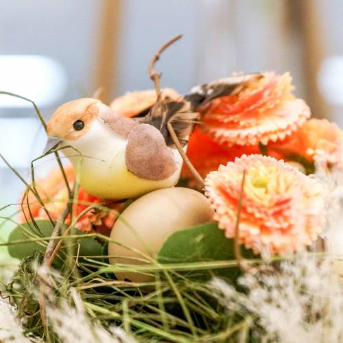 Floristik24 Daisy dirbtinių persikų spalvos 24cm 2vnt