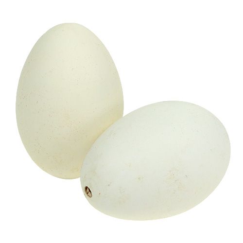 Žąsų kiaušinių baltymas 7cm - 8cm 6vnt
