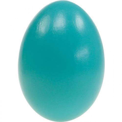 daiktų Žąsų kiaušiniai turkio spalvos išpūsti kiaušiniai Velykų dekoracija 12vnt