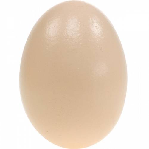 Floristik24 Žąsų kiaušinių kremas Blown Eggs Velykų dekoras 12 vnt
