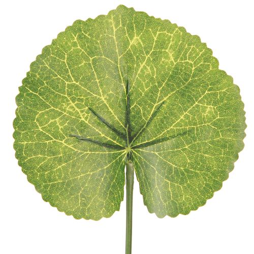 daiktų Galax Urceolata lapai dirbtiniai žali Ø10cm L23cm 12 vnt