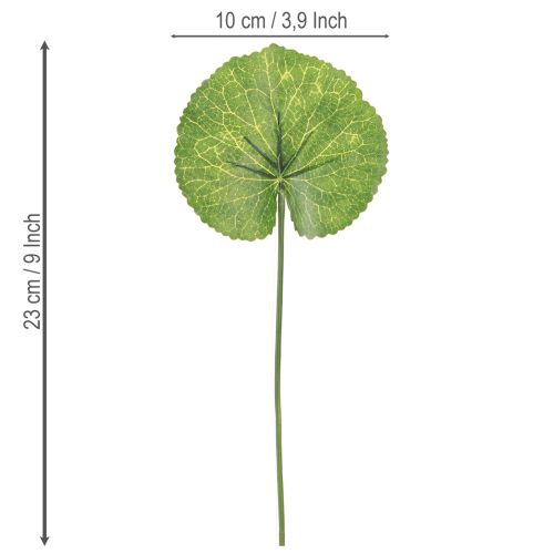 daiktų Galax Urceolata lapai dirbtiniai žali Ø10cm L23cm 12 vnt