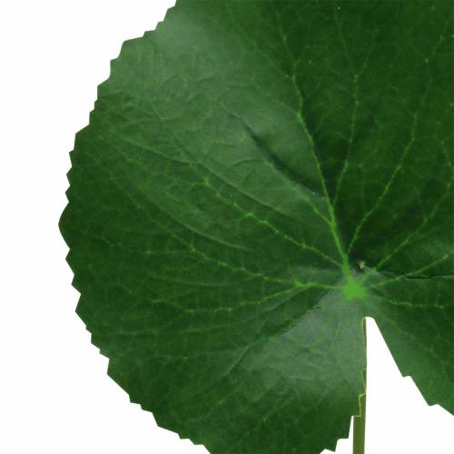 Floristik24 Bronzinis lakštas Galax dirbtinė žalia Ø9cm H30cm 12vnt