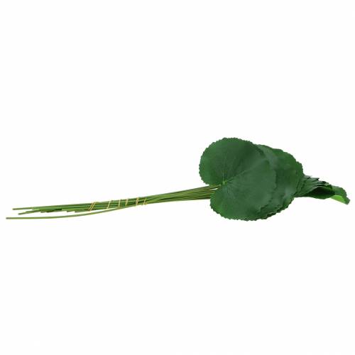 Floristik24 Bronzinis lakštas Galax dirbtinė žalia Ø9cm H30cm 12vnt