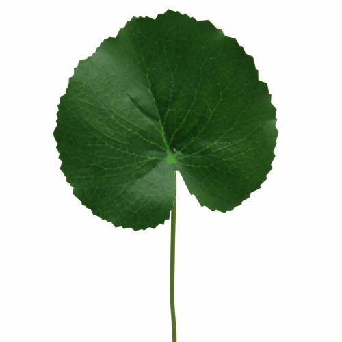 Floristik24 Bronzinis lakštas Galax dirbtinė žalia Ø9cm H30cm 12vnt