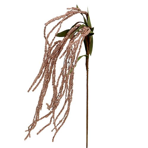 Floristik24 Sodo lapės uodega 95cm