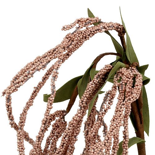 Floristik24 Sodo lapės uodega 95cm