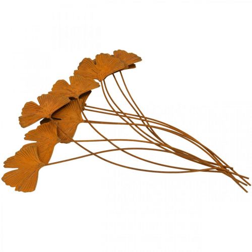 Floristik24 Sodo kuolas rūdžių gingko lapų lovos kuolas 7x5cm 6vnt