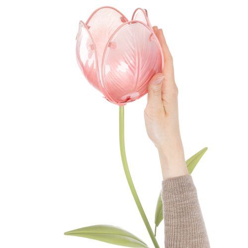 Dekoratyvinė tulpė sodo kuolei, gėlynams ir apvadams, 94 cm | Floristik24.lt