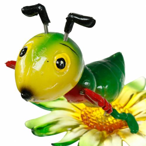 Floristik24 Sodo kuolas Kriketas ant gėlės Spalvingas 11cm