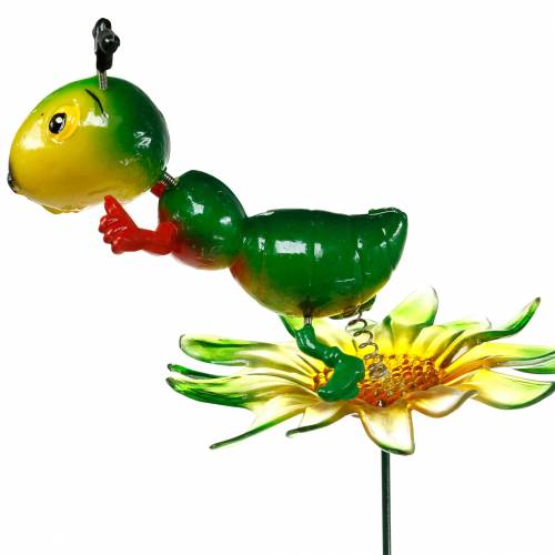 Floristik24 Sodo kuolas Kriketas ant gėlės Spalvingas 11cm