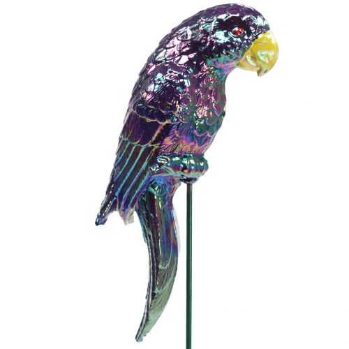Floristik24 Sodo kištukas papūga violetinė 16cm