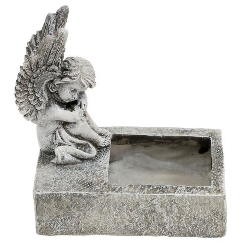 Floristik24 Sodinamoji su angelu pilka 17cm