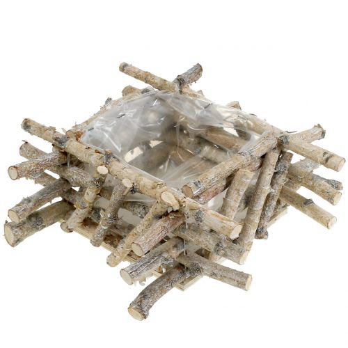 Floristik24 Beržo šakos baltai skalbtos 28cm x 28cm H10cm