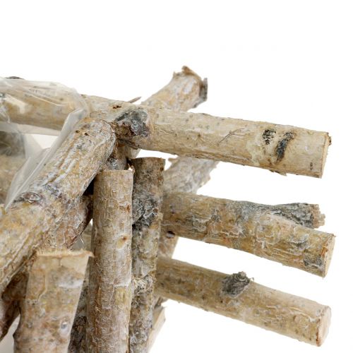 Floristik24 Beržo šakos baltai skalbtos 28cm x 28cm H10cm