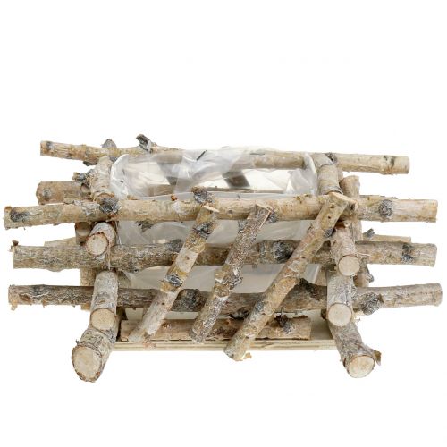 Floristik24 Beržo šakos baltai skalbtos 28cm x 28cm H10cm