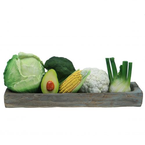 Floristik24 Baltasis kopūstas Ø16cm