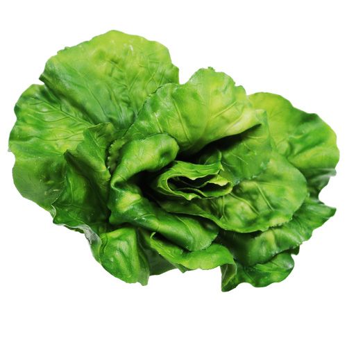 Floristik24 Daržovių asortimentas tinkle