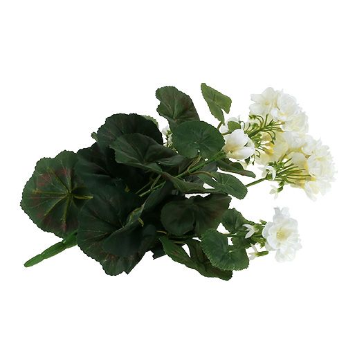 daiktų Geranijos krūmas baltas 38cm