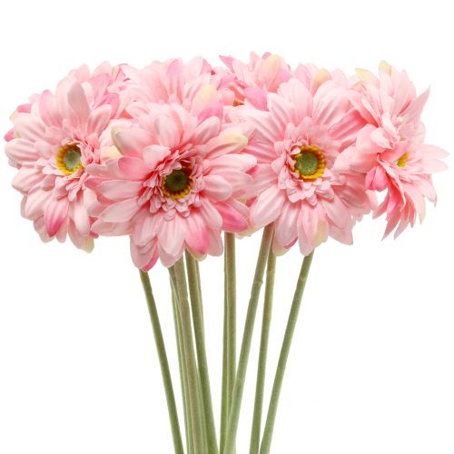 Floristik24 Gerbera rožinė dirbtinė 47cm 12vnt