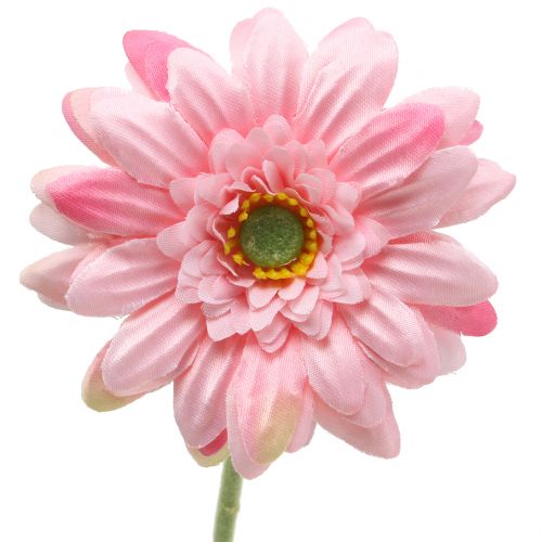 Floristik24 Gerbera rožinė dirbtinė 47cm 12vnt