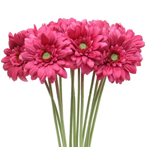 Floristik24 Gerbera Rožinė 48cm 12vnt